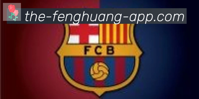 凤凰体育合作伙伴